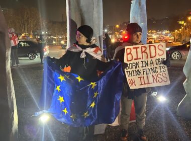 Tbilisi protests EU Georgia Russian influece