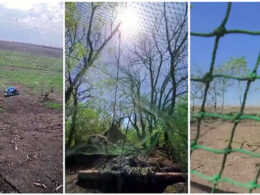 yle recycled fishing nets become ukraine’s frontline anti-drone tool used against russian drones ukraine fishing-nets-anti-drone-ukraine old gear once danish swedish fishermen now protects ukrainian soldiers aerial attacks discarded scandinavian protecting