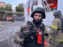 firefighter holds kitten rescued burning building zaporizhzhia after russia's air attack 14 2025 0aa3689b-79fd-4eca-b176-b63e729219fb ukraine news ukrainian reports